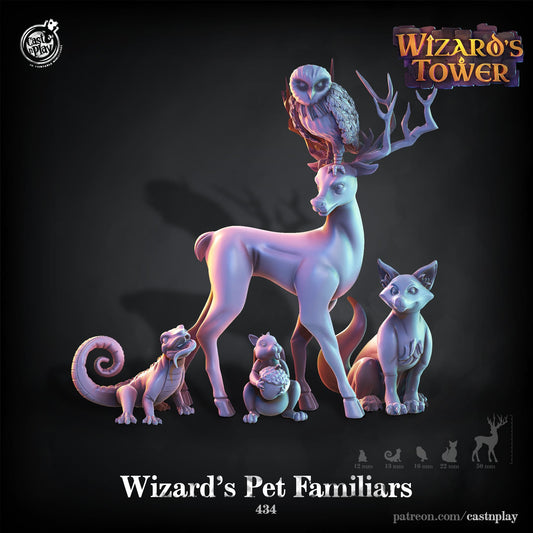 3D Printed Cast n Play - Wizards Pet Familiars 28mm 32mm D&D - 3D Printing Boss 