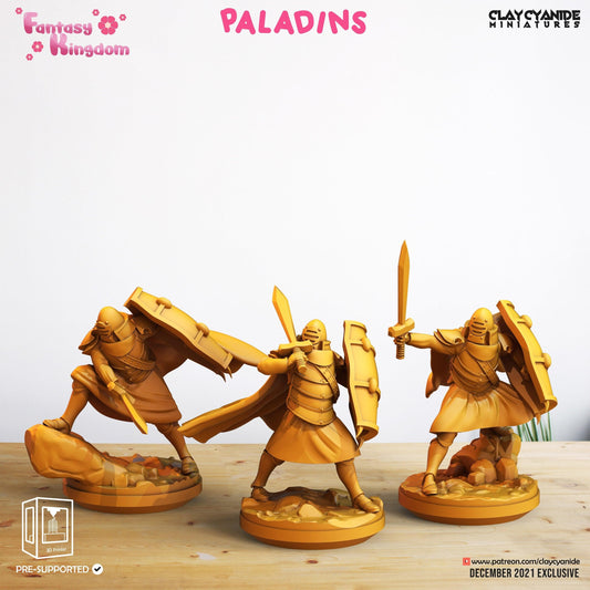 3D Printed Clay Cyanide Fantasy Kingdom - Paladins 28mm 32mm D&D - 3D Printing Boss 