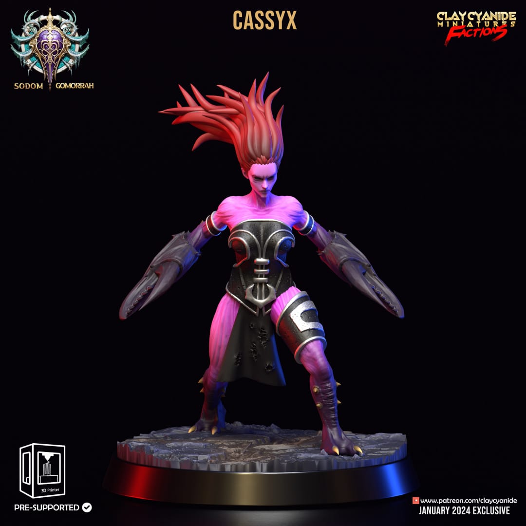 3D Printed Clay Cyanide Sodomite Vexxers FACTION 28 32 mm D&D - 3D Printing Boss 
