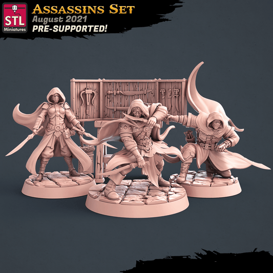 3D Printed STL Miniatures Assassins Set 28 - 32mm War Gaming D&D - 3D Printing Boss 