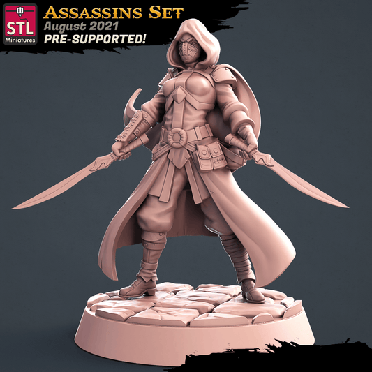 3D Printed STL Miniatures Assassins Set 28 - 32mm War Gaming D&D - 3D Printing Boss 