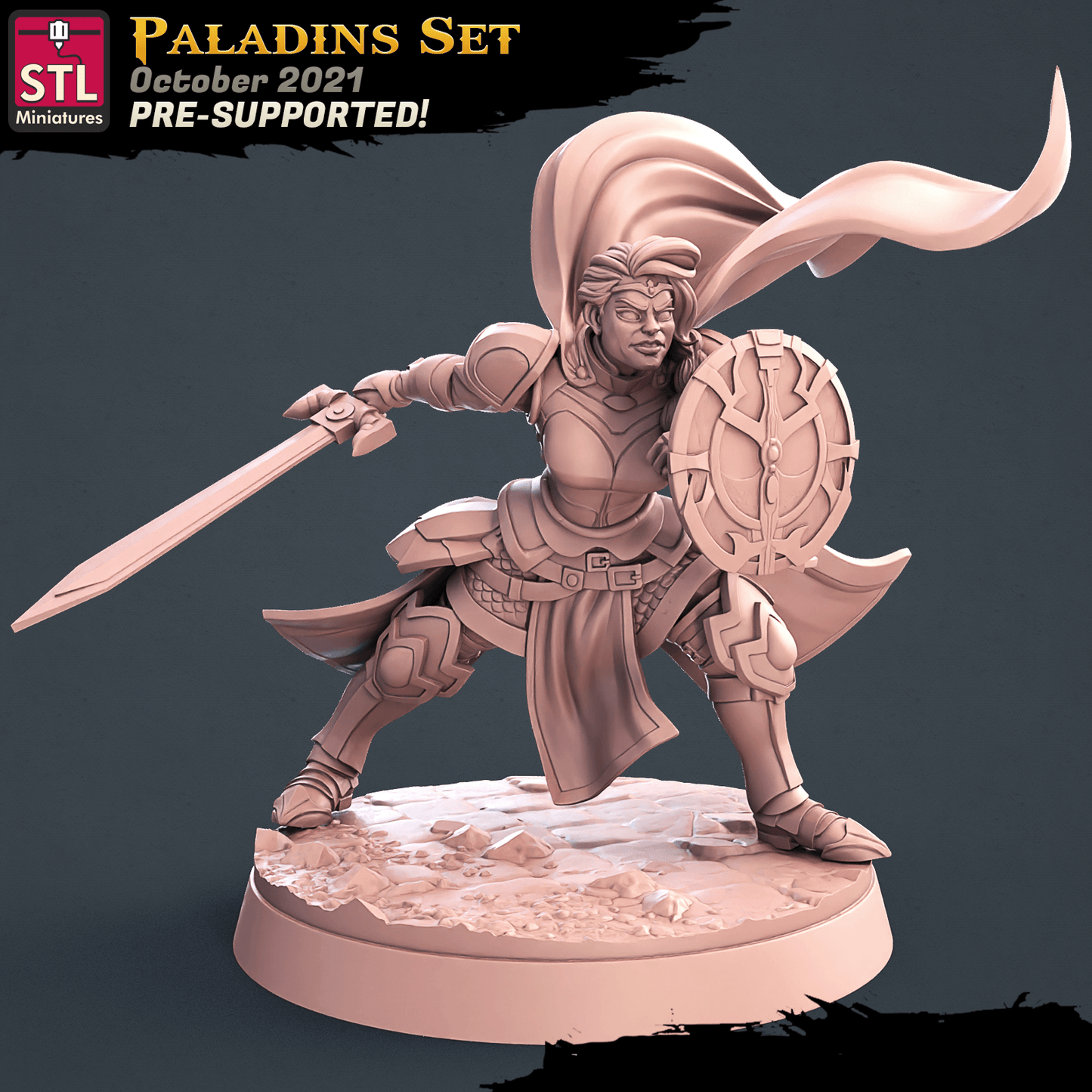 3D Printed STL Miniatures Paladin Set 28 - 32mm War Gaming D&D - 3D Printing Boss 