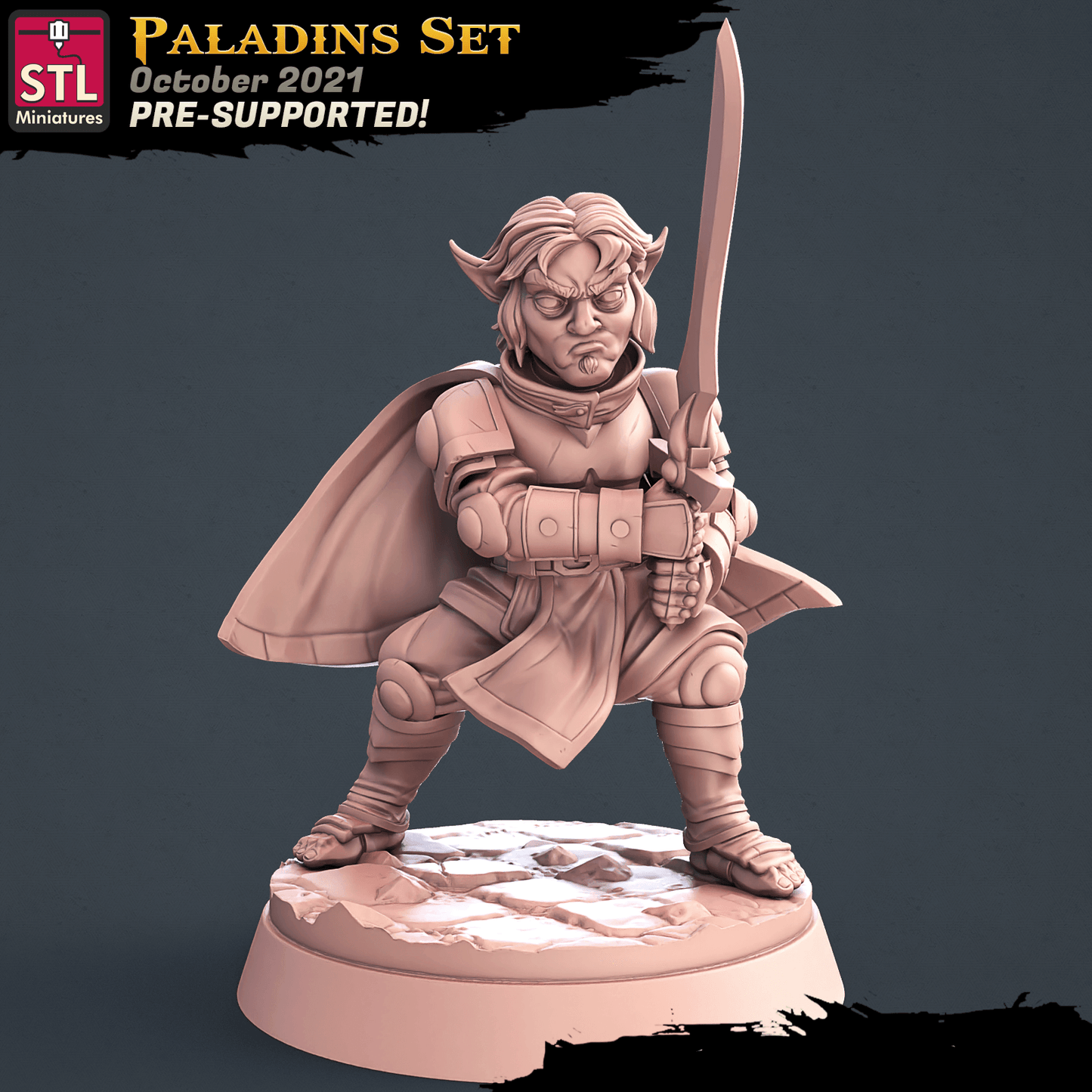 3D Printed STL Miniatures Paladin Set 28 - 32mm War Gaming D&D - 3D Printing Boss 