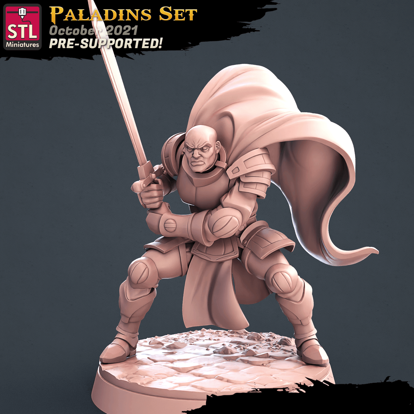 3D Printed STL Miniatures Paladin Set 28 - 32mm War Gaming D&D - 3D Printing Boss 