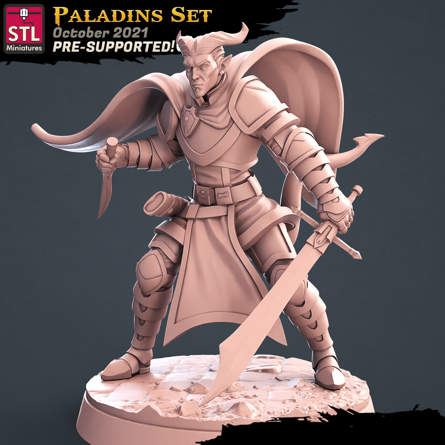 3D Printed STL Miniatures Paladin Set 28 - 32mm War Gaming D&D - 3D Printing Boss 