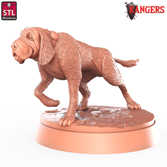 3D Printed STL Miniatures Ranger Hounds Rangers  28 - 32mm War Gaming D&D - 3D Printing Boss 