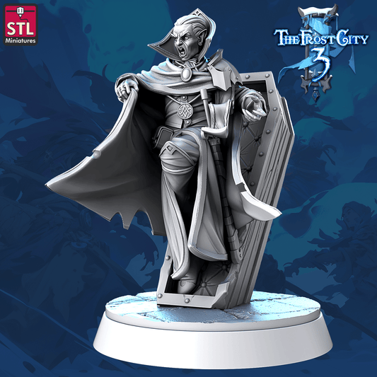 3D Printed STL Miniatures Vampire Core Characters The Frost City 3 28 - 32mm War Gaming D&D - 3D Printing Boss 