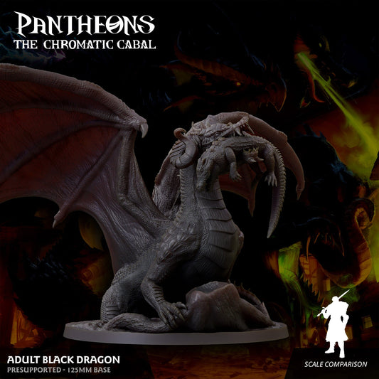 3D Printed Sordane Publishing Adult Black Dragon Pantheons The Chromatic Cabal 28 32mm D&D - 3D Printing Boss 