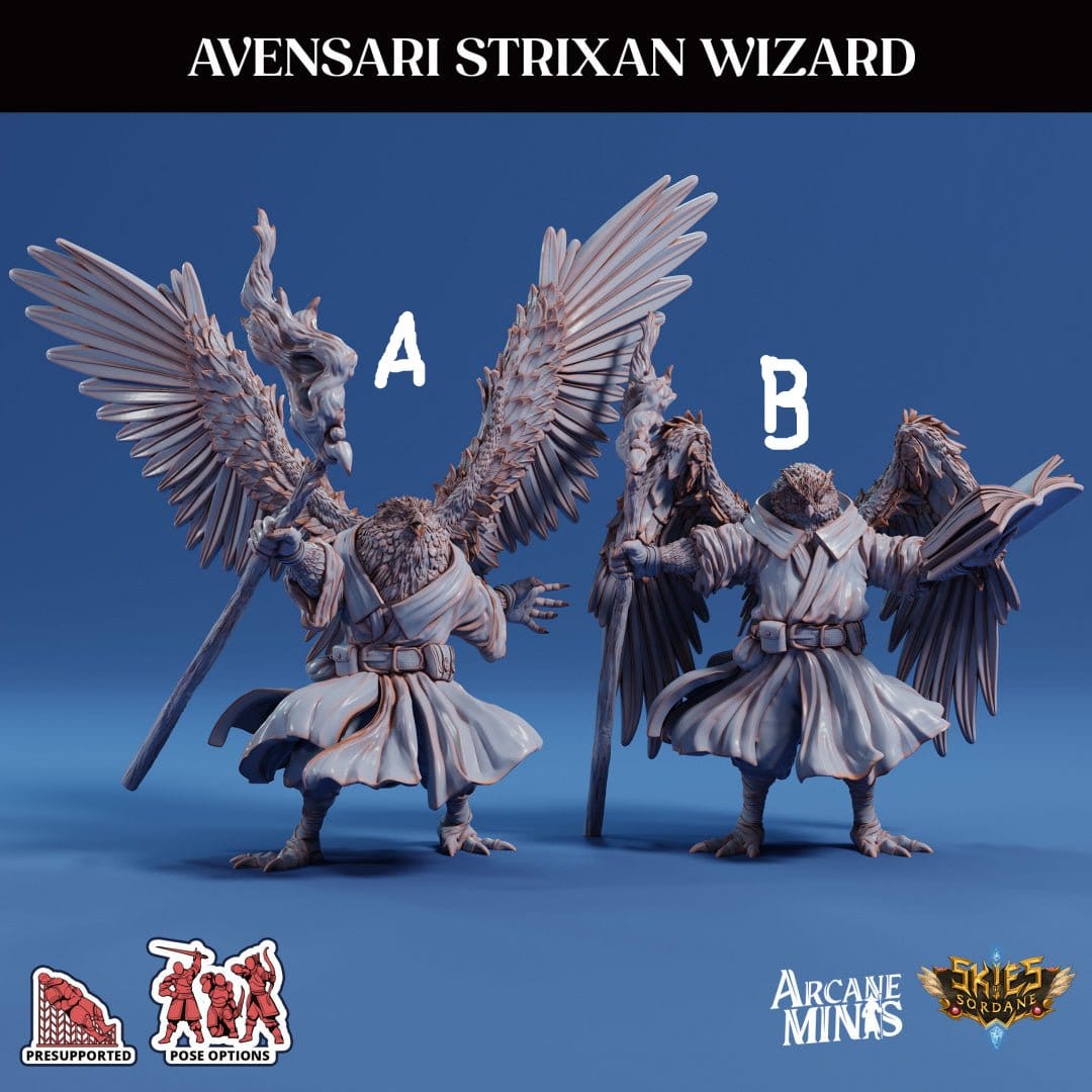 3D Printed Sordane Publishing Arcane Minis Avensari Strixan Wizard Mighty Skies A Sordane Stories Set 28 32mm D&D - 3D Printing Boss 