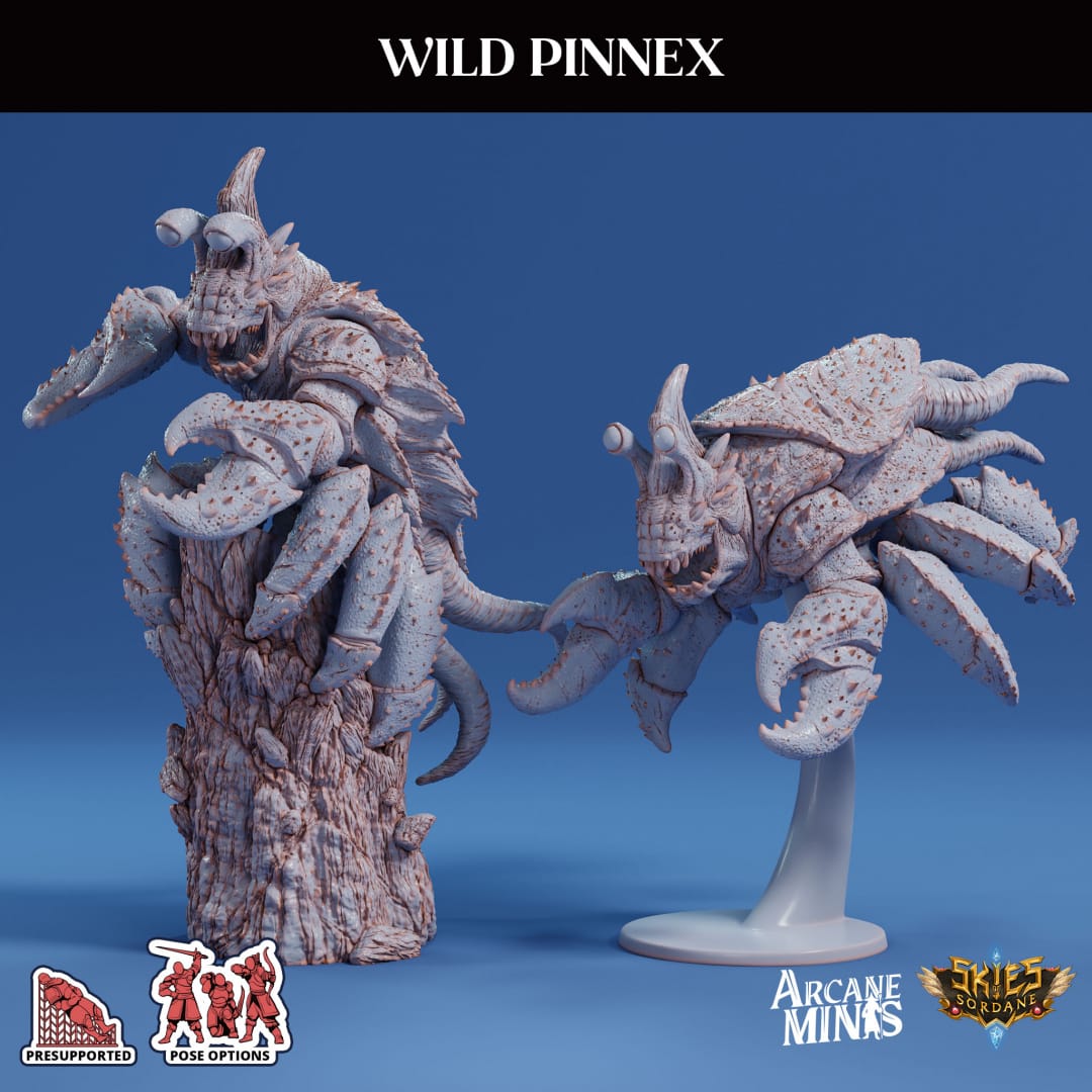 3D Printed Sordane Publishing Arcane Minis Wild Pinnex Mighty Skies A Sordane Stories Set 28 32mm D&D - 3D Printing Boss 