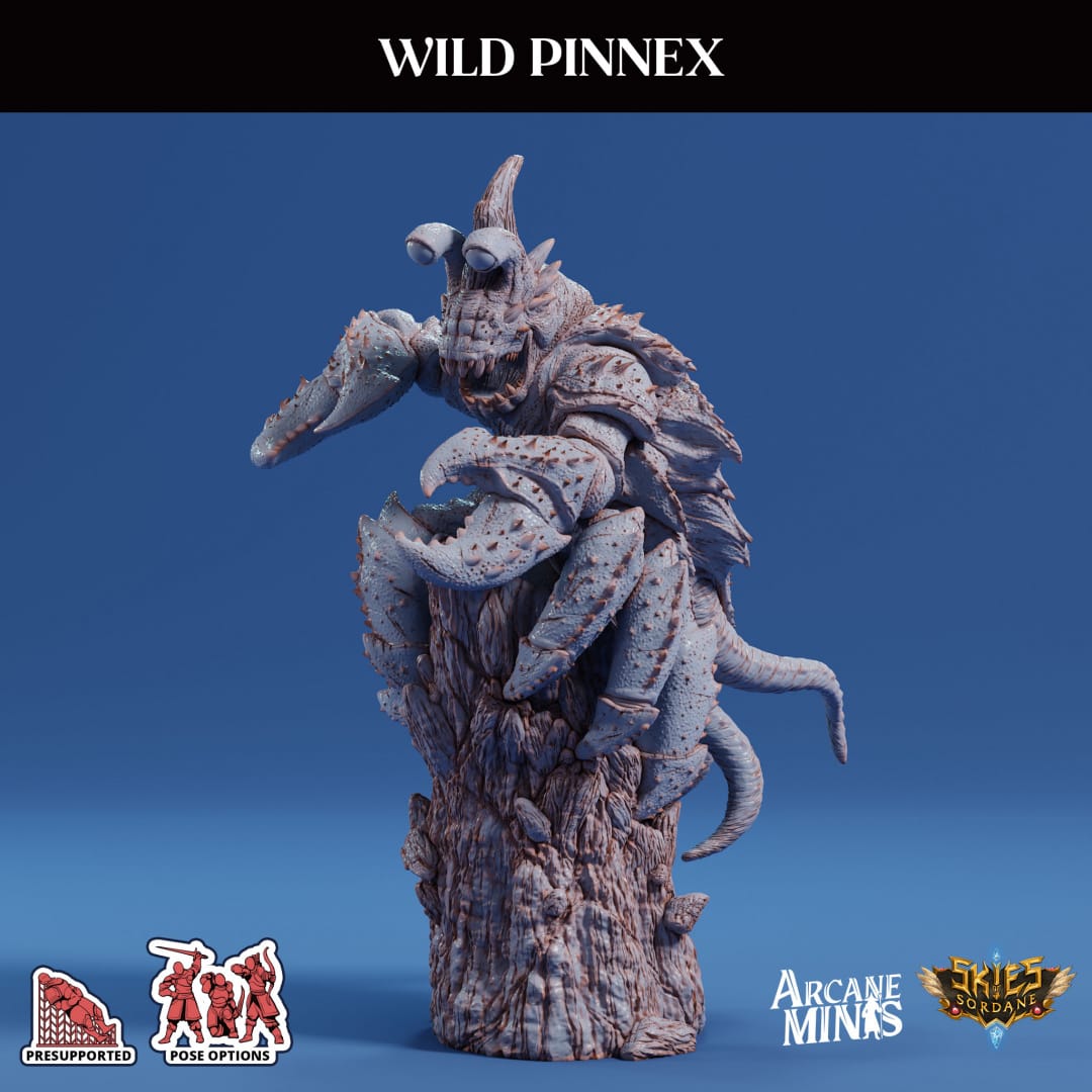 3D Printed Sordane Publishing Arcane Minis Wild Pinnex Mighty Skies A Sordane Stories Set 28 32mm D&D - 3D Printing Boss 