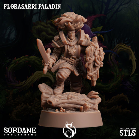 3D Printed Sordane Publishing Florasarri Paladin Cupid's Embrace Set 28 32mm D&D - 3D Printing Boss 