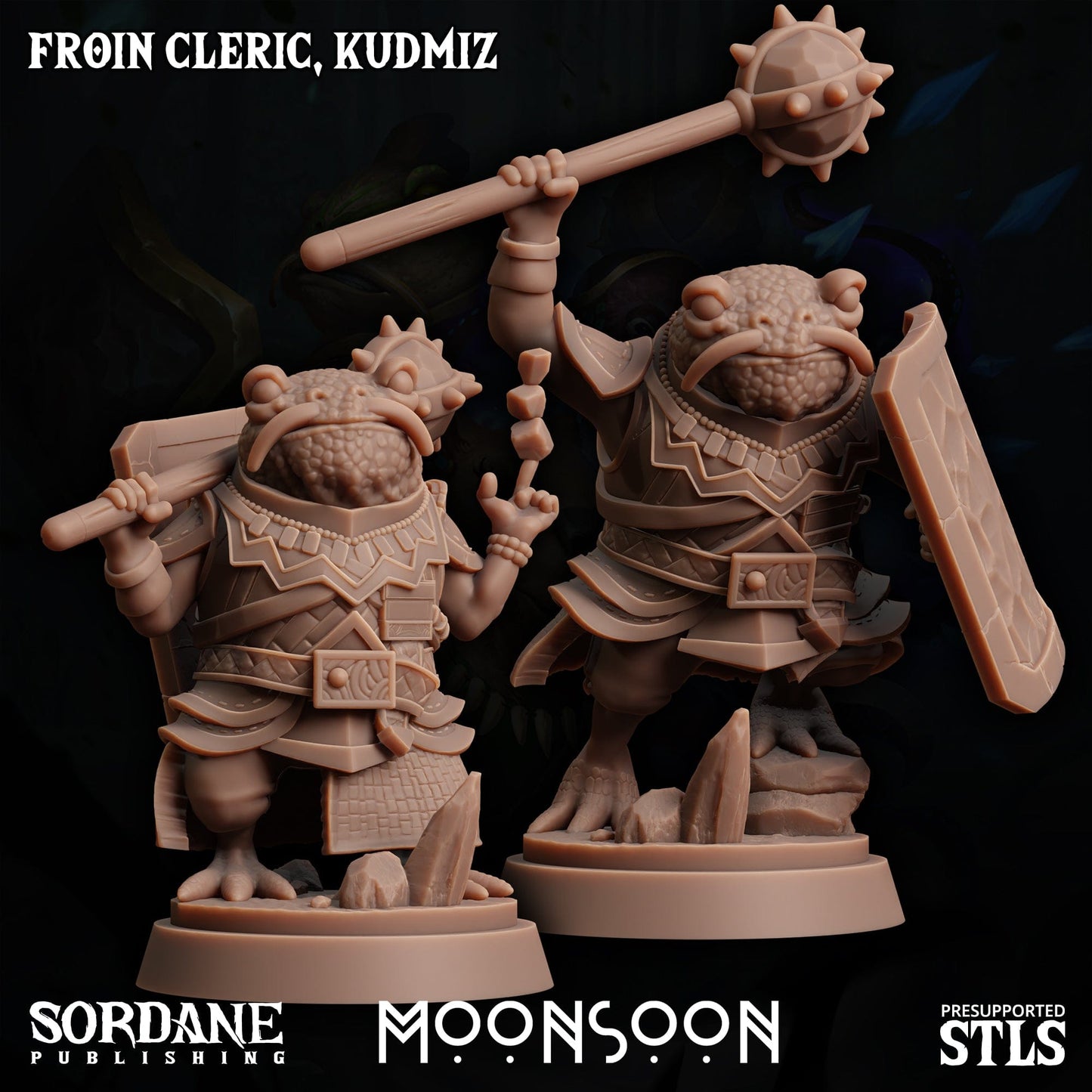3D Printed Sordane Publishing Froin Cleric Kudmiz Moonsoon 28 32mm D&D - 3D Printing Boss 