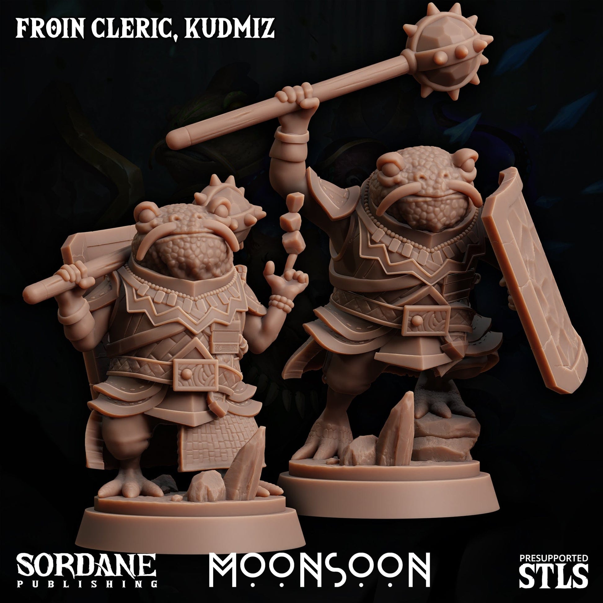 3D Printed Sordane Publishing Froin Cleric Kudmiz Moonsoon 28 32mm D&D - 3D Printing Boss 