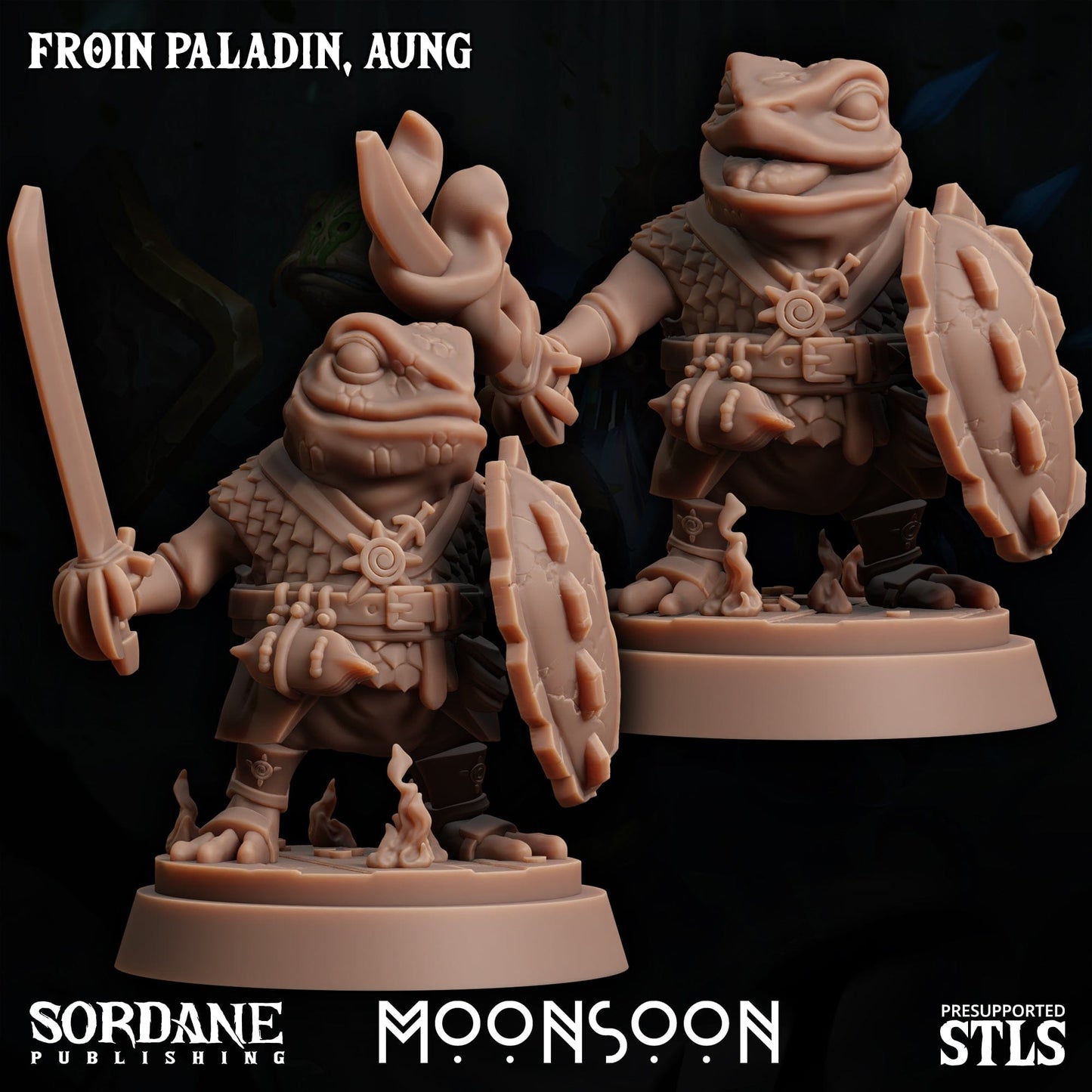 3D Printed Sordane Publishing Froin Paladin Aung Moonsoon 28 32mm D&D - 3D Printing Boss 