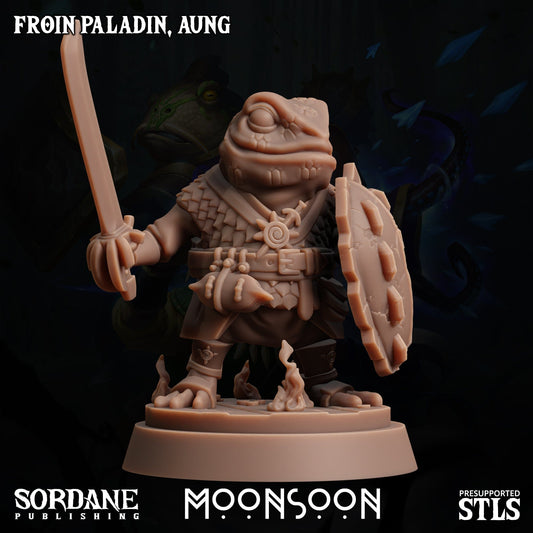 3D Printed Sordane Publishing Froin Paladin Aung Moonsoon 28 32mm D&D - 3D Printing Boss 