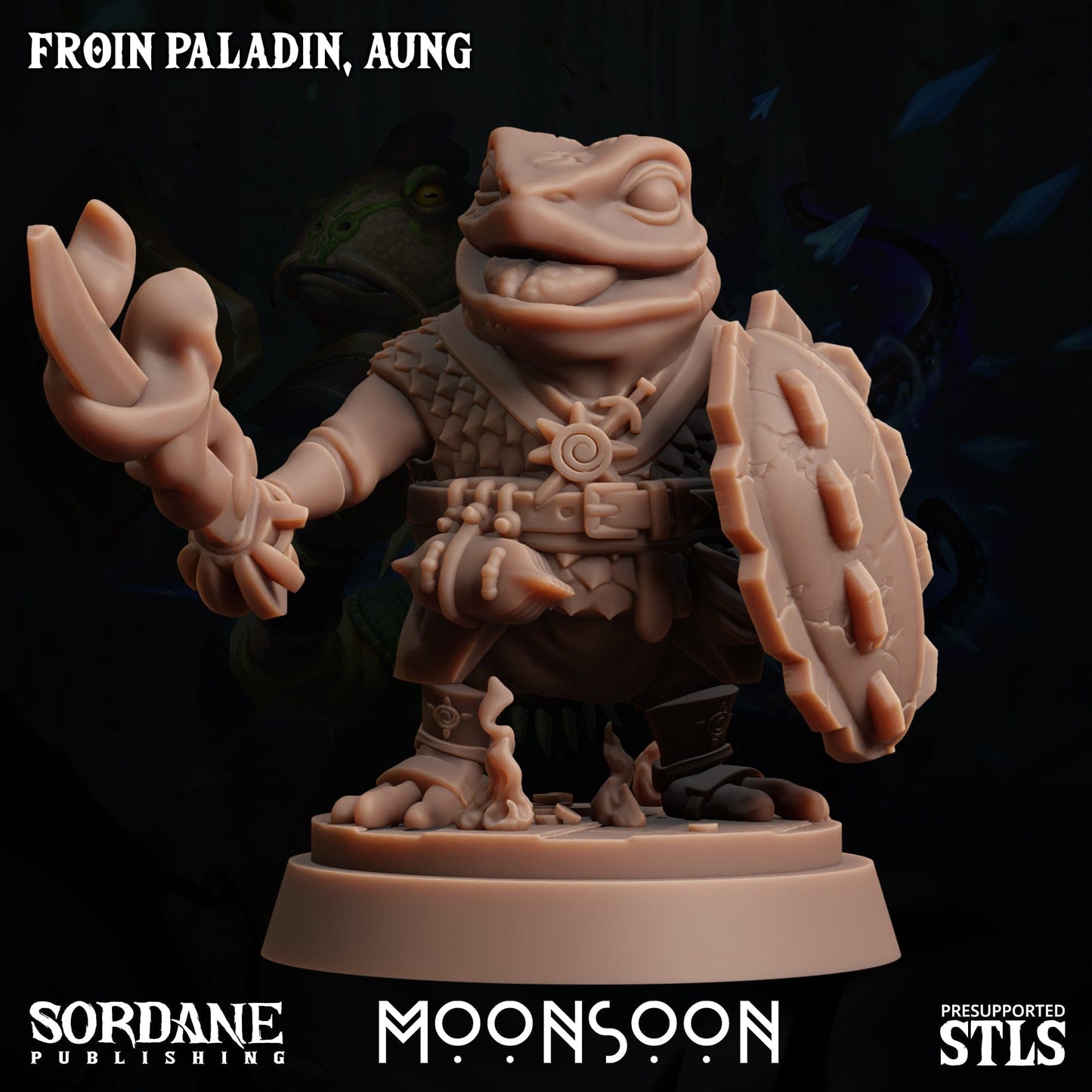 3D Printed Sordane Publishing Froin Paladin Aung Moonsoon 28 32mm D&D - 3D Printing Boss 