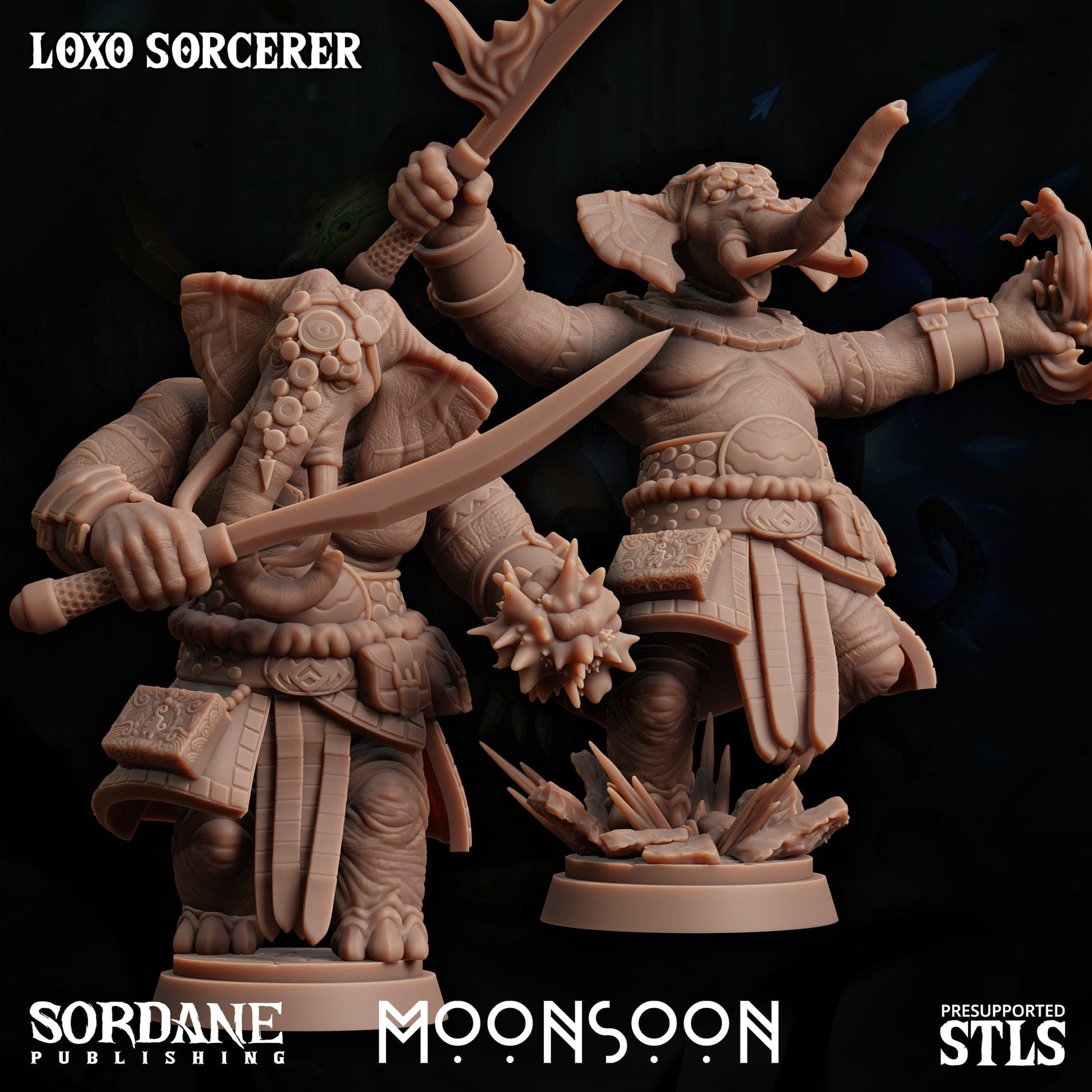 3D Printed Sordane Publishing Loxo Sorcerer Moonsoon 28 32mm D&D - 3D Printing Boss 