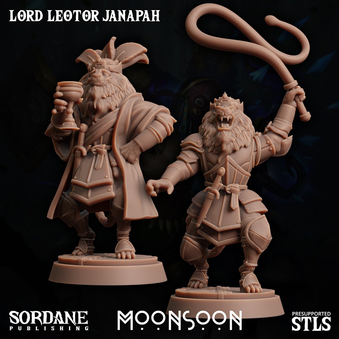 3D Printed Sordane Publishing Loxo Sorcerer Moonsoon 28 32mm D&D - 3D Printing Boss 