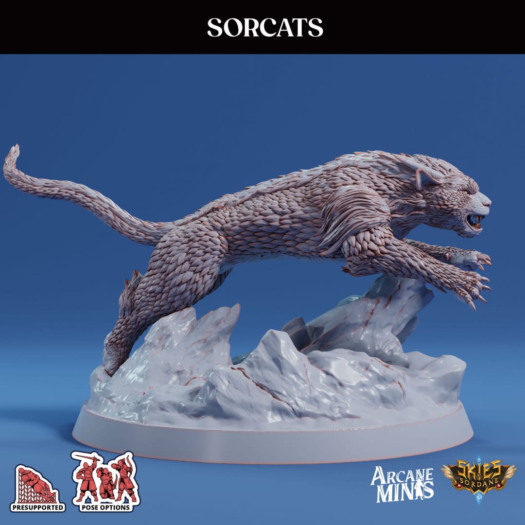 3D Printed Sordane Publishing Sorcats 28 32mm D&D - 3D Printing Boss 