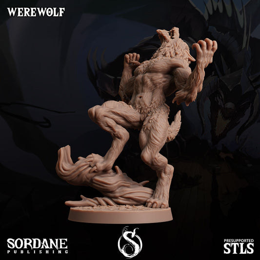 3D Printed Sordane Publishing Werewolves 28 32mm D&D - 3D Printing Boss 
