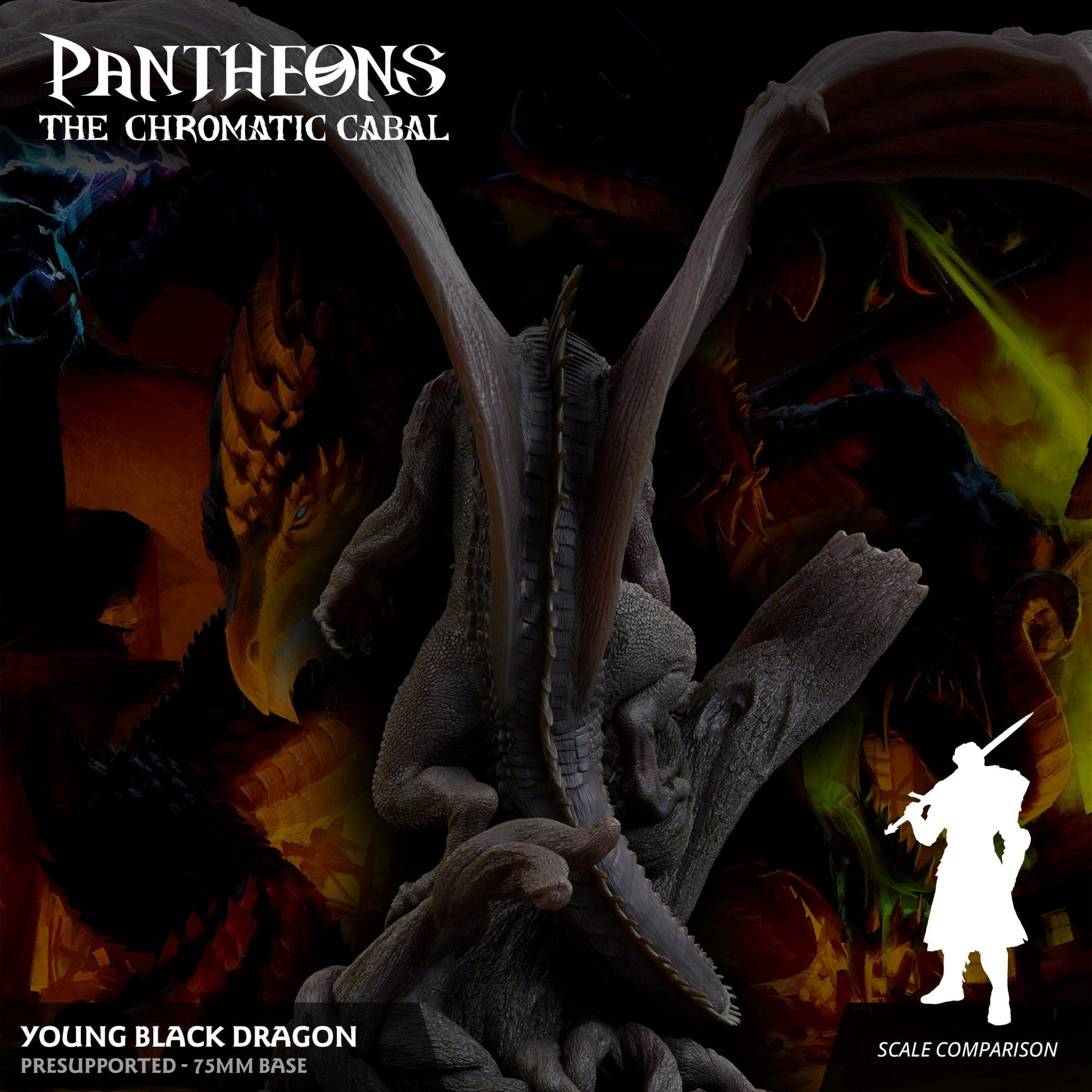 3D Printed Sordane Publishing Young Black Dragon Pantheons The Chromatic Cabal 28 32mm D&D - 3D Printing Boss 