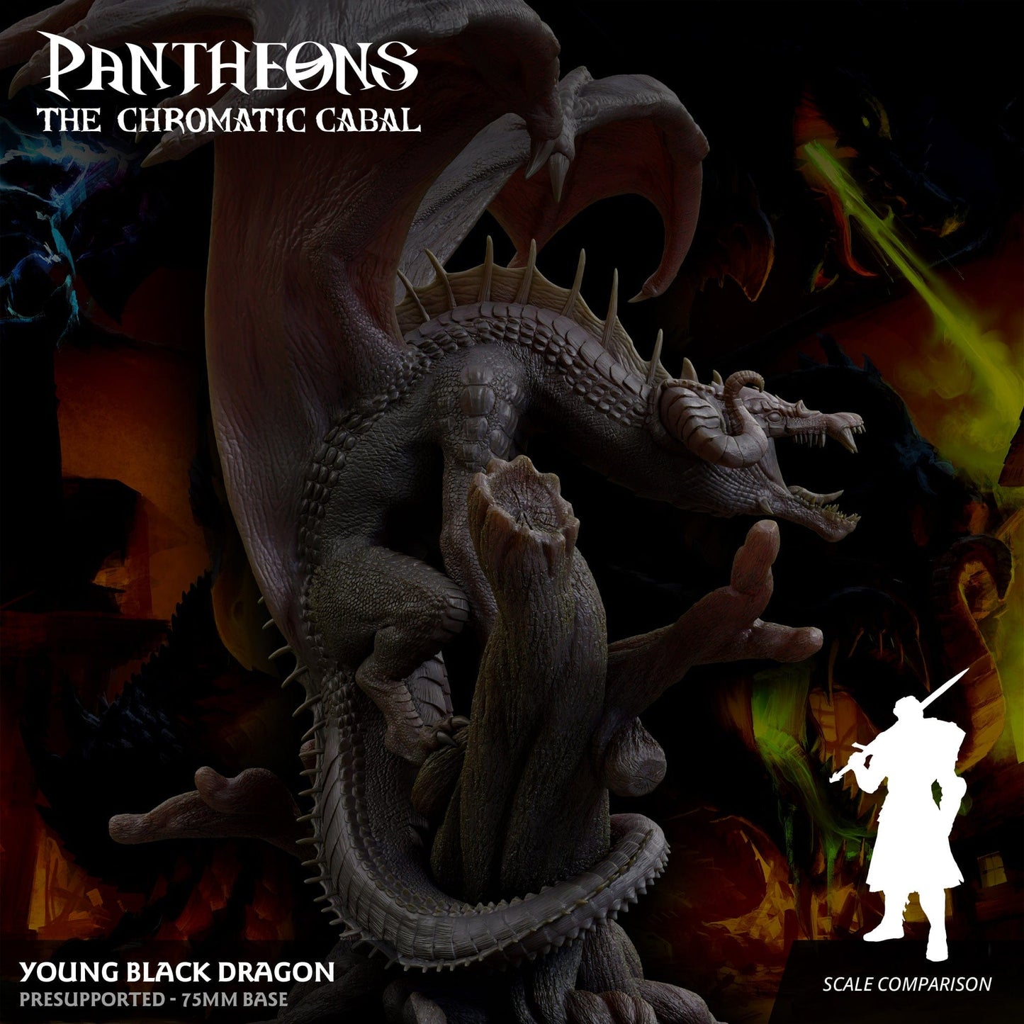 3D Printed Sordane Publishing Young Black Dragon Pantheons The Chromatic Cabal 28 32mm D&D - 3D Printing Boss 