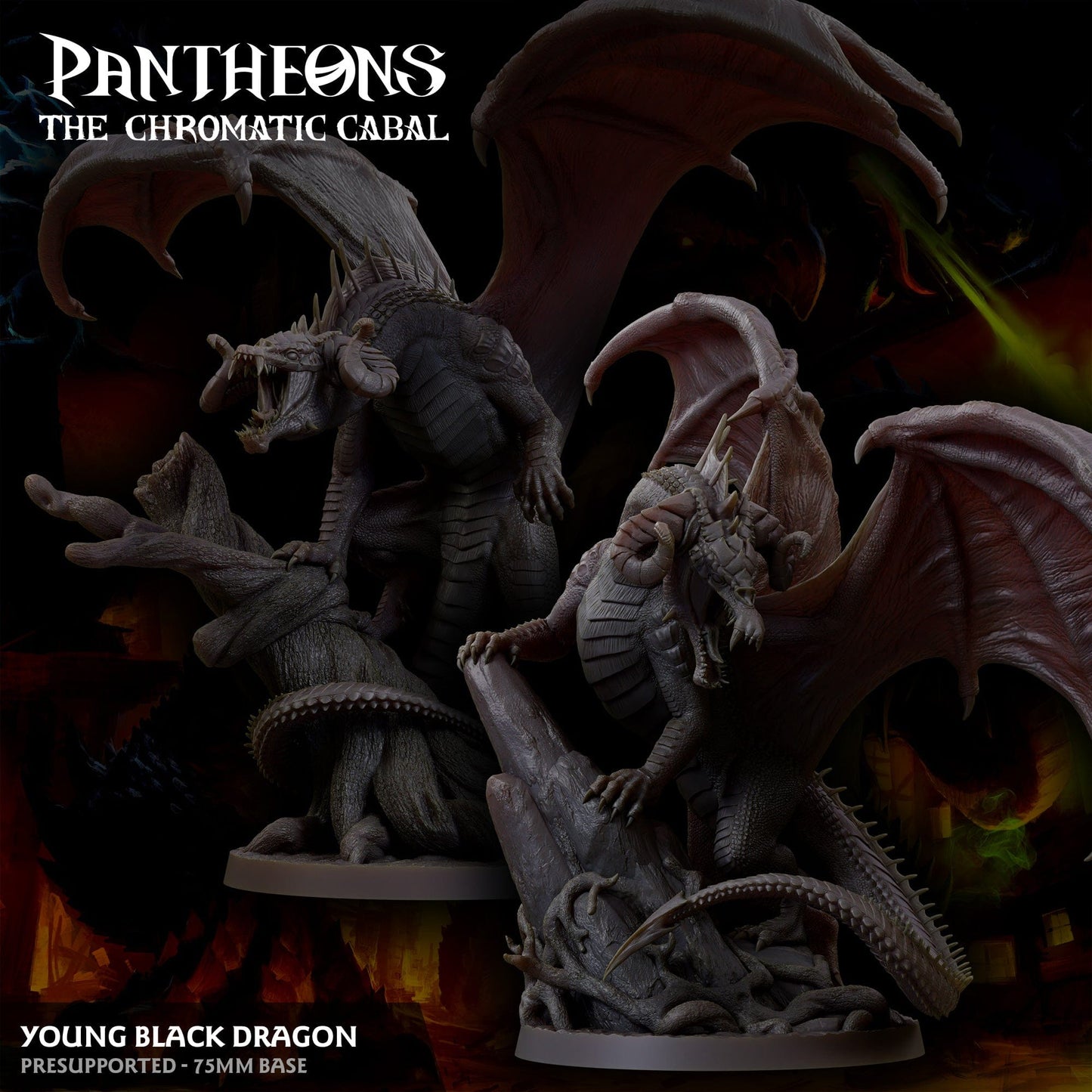 3D Printed Sordane Publishing Young Black Dragon Pantheons The Chromatic Cabal 28 32mm D&D - 3D Printing Boss 