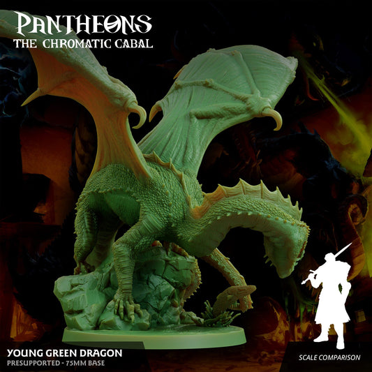 3D Printed Sordane Publishing Young Green Dragon Pantheons The Chromatic Cabal 28 32mm D&D - 3D Printing Boss 