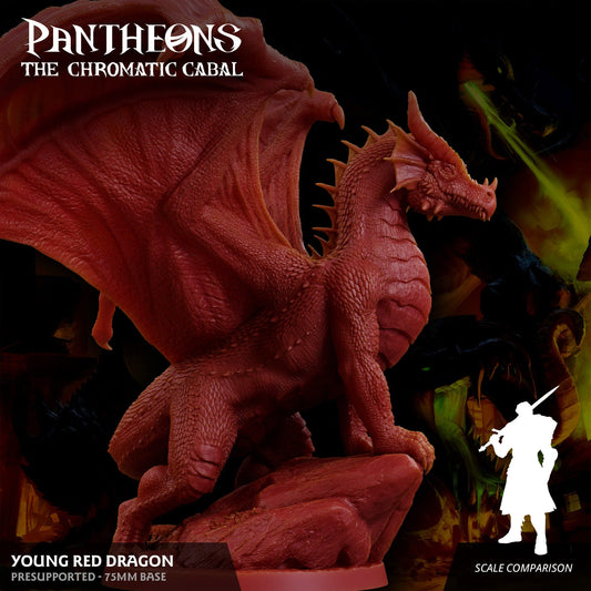 3D Printed Sordane Publishing Young Red Dragon Pantheons The Chromatic Cabal 28 32mm D&D - 3D Printing Boss 