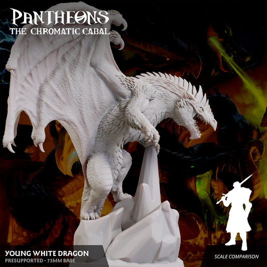 3D Printed Sordane Publishing Young White Dragon Pantheons The Chromatic Cabal 28 32mm D&D - 3D Printing Boss 