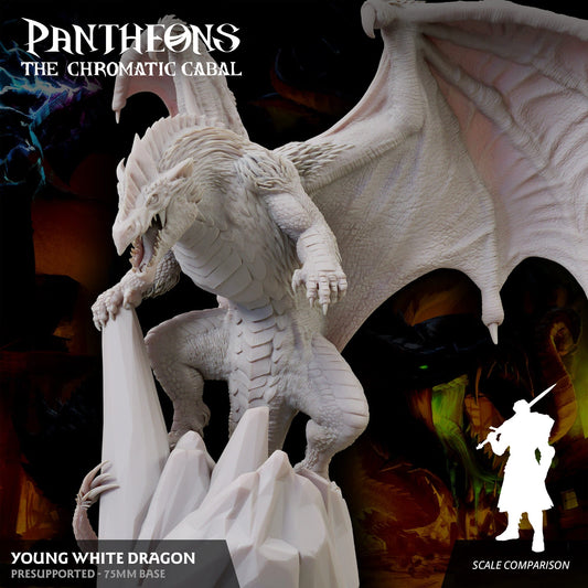 3D Printed Sordane Publishing Young White Dragon Pantheons The Chromatic Cabal 28 32mm D&D - 3D Printing Boss 
