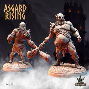 3D Printed Asgard Rising Siegruth 28 32 mm Wargaming DnD - Charming Terrain