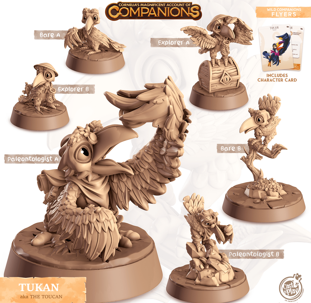 3D Printed Cast n Play Tukan - Toucan Companions 28mm 32mm D&D - Charming Terrain
