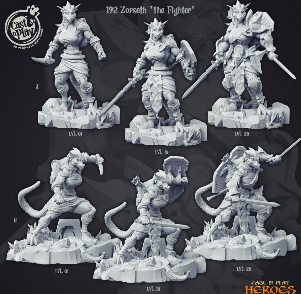 3D Printed Cast n Play Zorseth the Fighter Heroes Vol. 1 28mm 32mm D&D - Charming Terrain