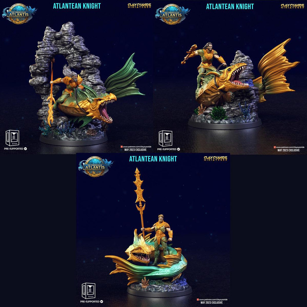 3D Printed Clay Cyanide Atlantean Knights The Chronicles of Atlantis 28 32 mm D&D - Charming Terrain