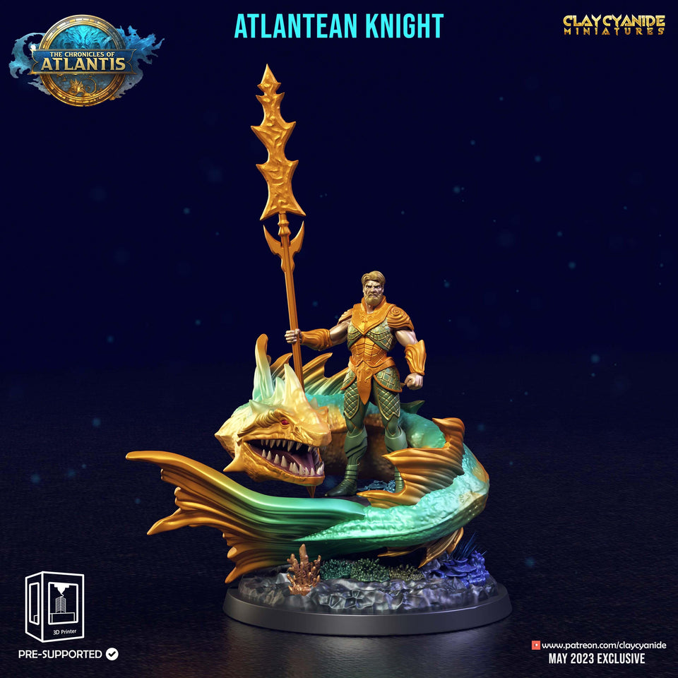 3D Printed Clay Cyanide Atlantean Knights The Chronicles of Atlantis 28 32 mm D&D - Charming Terrain