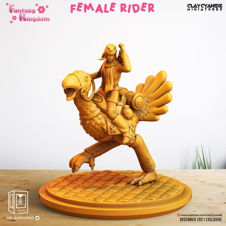 3D Printed Clay Cyanide Fantasy Kingdom - Female Rider 28mm 32mm D&D - Charming Terrain