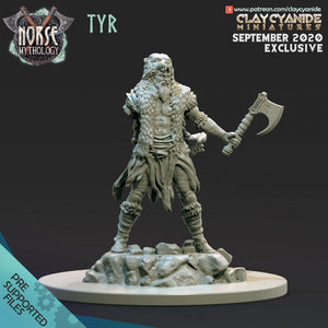 3D Printed Clay Cyanide Tyr Norse Mythology 28 32 mm D&D - Charming Terrain