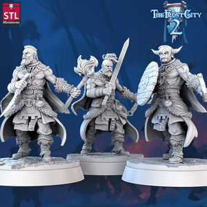 3D Printed STL Miniatures Barbarians The Frost City 2 28 - 32mm War Gaming D&D - Charming Terrain