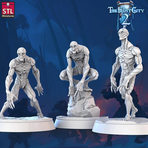 3D Printed STL Miniatures Nullmens The Frost City 2 28 - 32mm War Gaming D&D - Charming Terrain