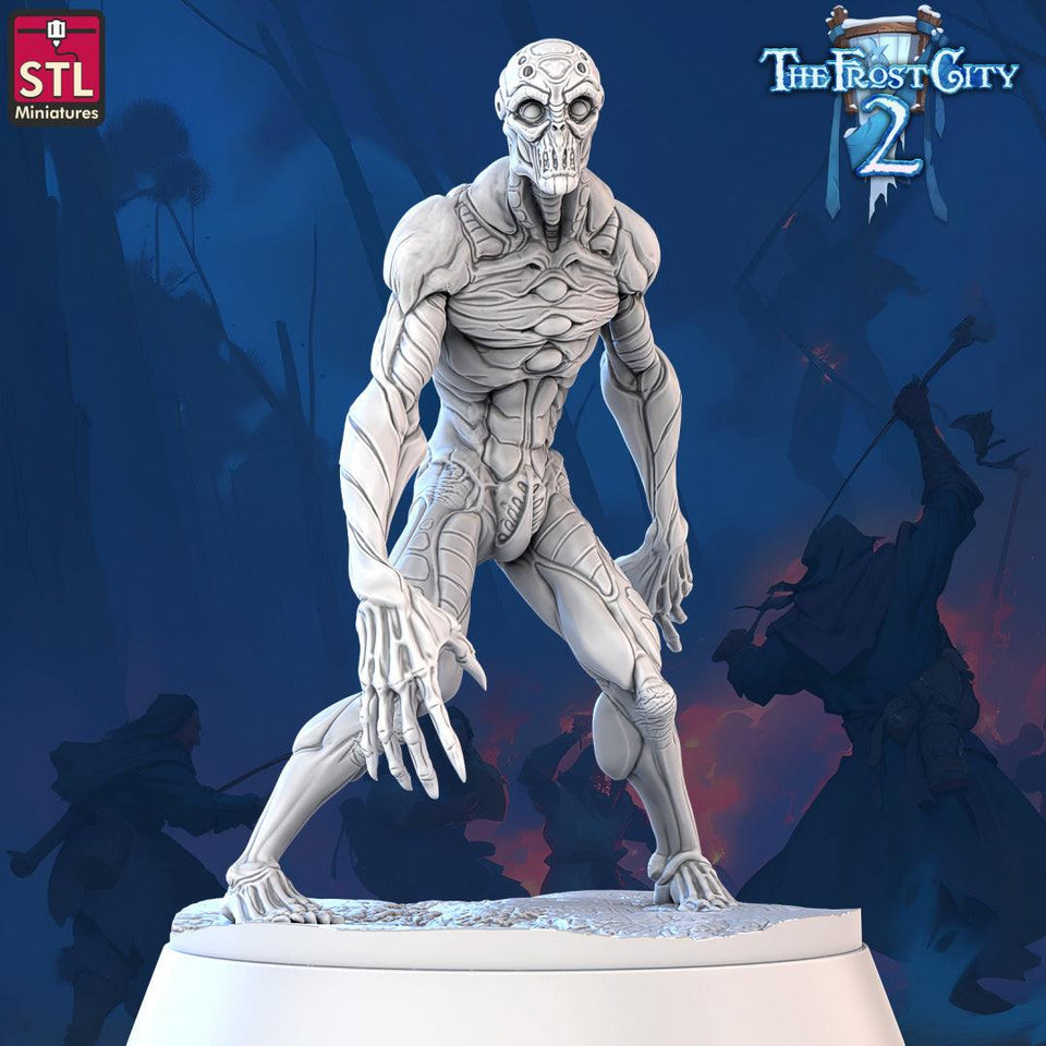 3D Printed STL Miniatures Nullmens The Frost City 2 28 - 32mm War Gaming D&D - Charming Terrain