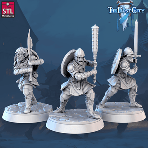 3D Printed STL Miniatures The Frost City Army Knights - Modular 28 - 32mm War Gaming D&D - Charming Terrain