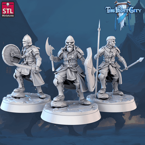 3D Printed STL Miniatures The Frost City Army Knights - Modular 28 - 32mm War Gaming D&D - Charming Terrain