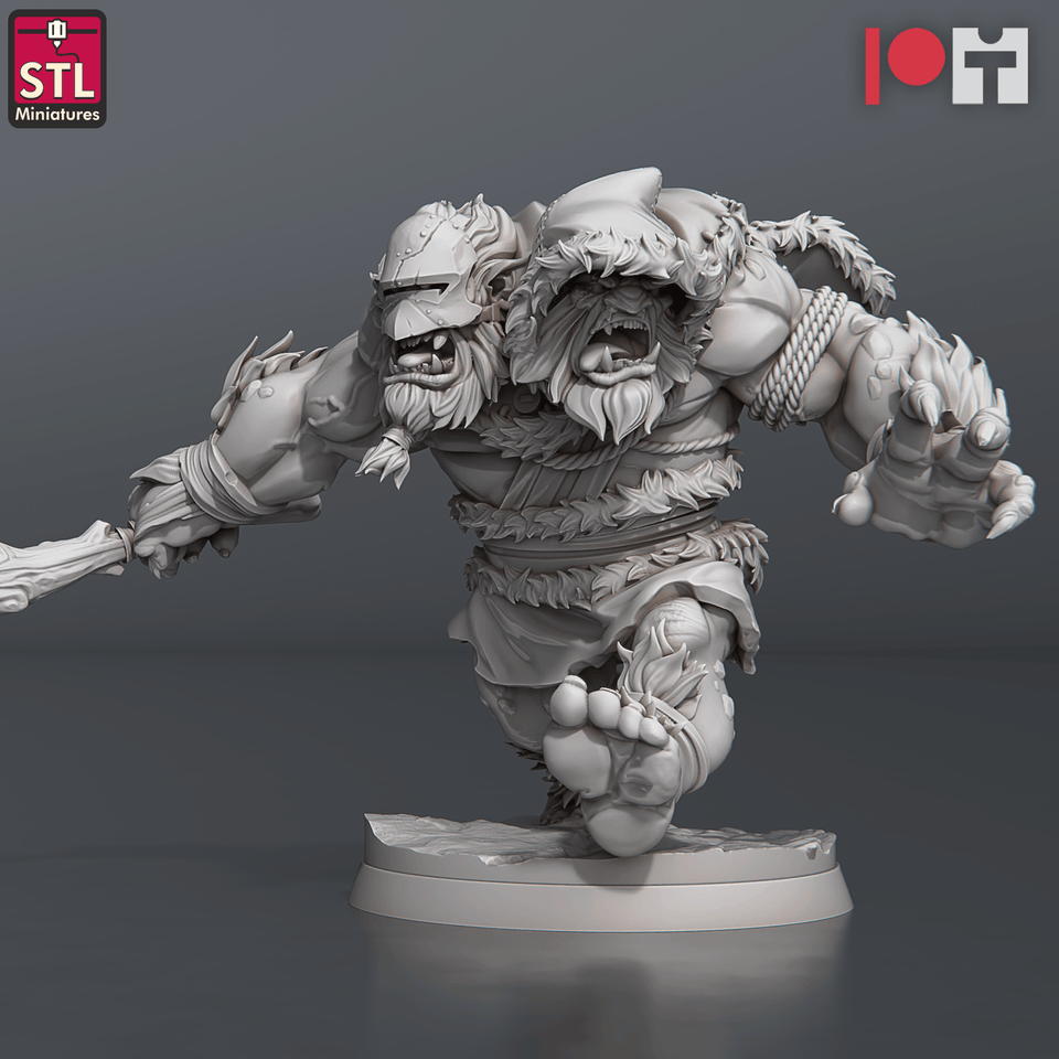 3D Printed STL Miniatures Two Headed Show Troll Set 28 - 32mm War Gaming D&D - Charming Terrain
