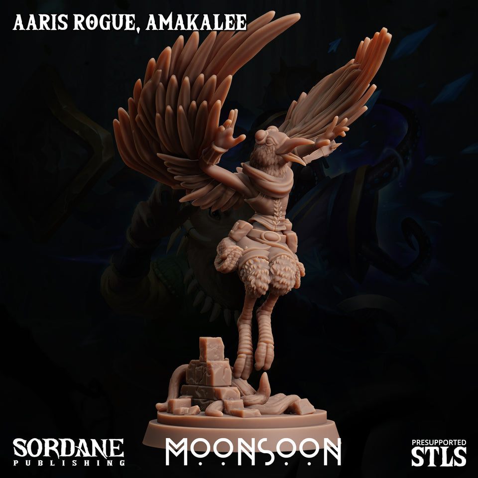 3D Printed Sordane Publishing Aaris Rogue Amakalee Moonsoon 28 32mm D&D