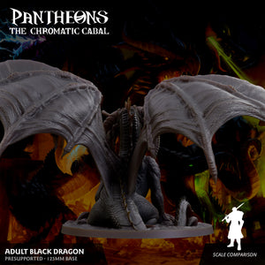 3D Printed Sordane Publishing Adult Black Dragon Pantheons The Chromatic Cabal 28 32mm D&D