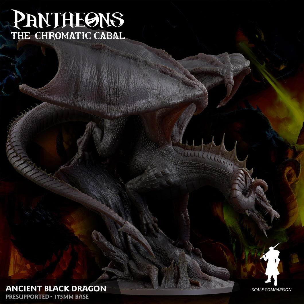 3D Printed Sordane Publishing Ancient Black Dragon Pantheons The Chromatic Cabal 28 32mm D&D