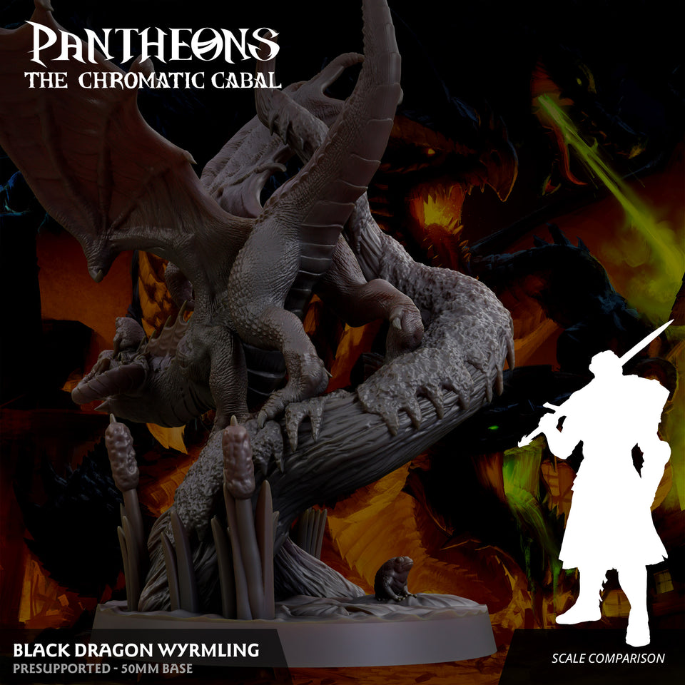 3D Printed Sordane Publishing Wyrmling Black Dragon Pantheons - The Chromatic Cabal 28 32mm D&D