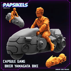 3D Printed Papsikels Capsule Gang Biker Set January 2025 - Cyberpunk 28mm 32mm